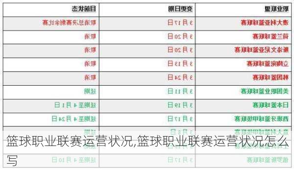 篮球职业联赛运营状况,篮球职业联赛运营状况怎么写