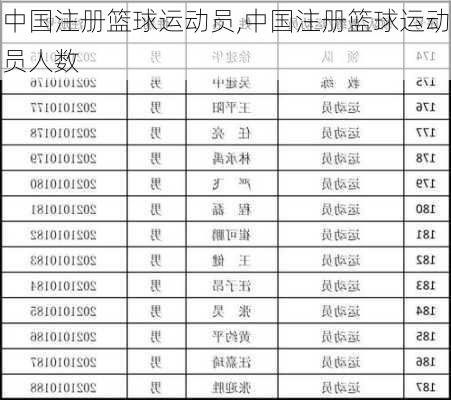 中国注册篮球运动员,中国注册篮球运动员人数