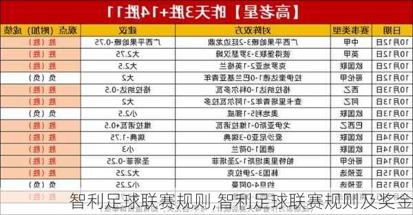 智利足球联赛规则,智利足球联赛规则及奖金