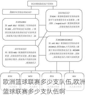 欧洲篮球联赛多少支队伍,欧洲篮球联赛多少支队伍啊