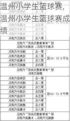 温州小学生篮球赛,温州小学生篮球赛成绩