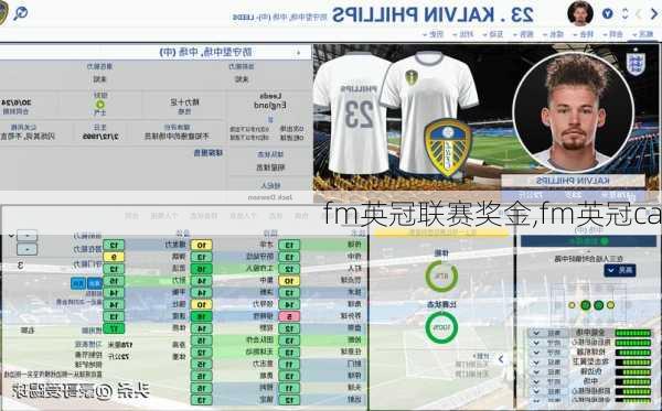 fm英冠联赛奖金,fm英冠ca