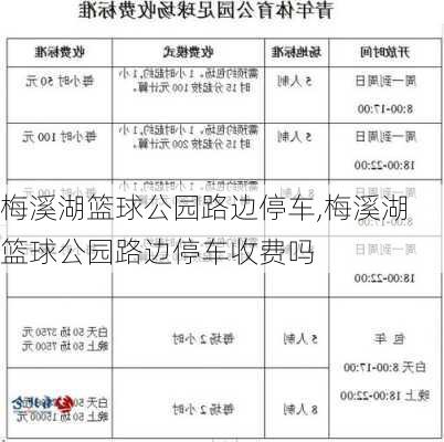 梅溪湖篮球公园路边停车,梅溪湖篮球公园路边停车收费吗