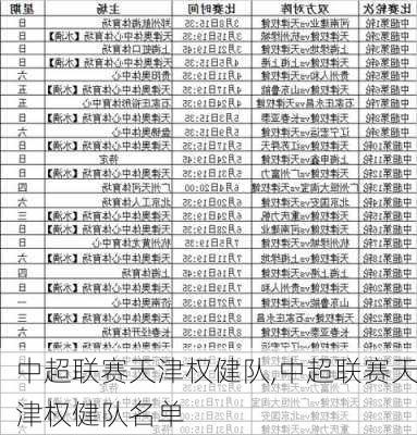 中超联赛天津权健队,中超联赛天津权健队名单