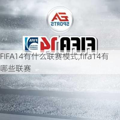 FIFA14有什么联赛模式,fifa14有哪些联赛