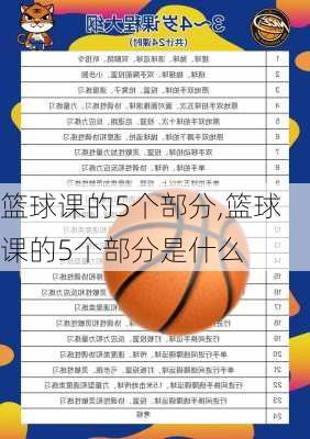 篮球课的5个部分,篮球课的5个部分是什么