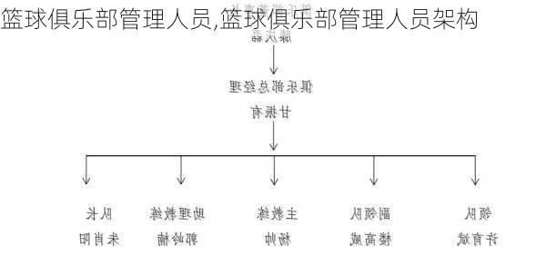 篮球俱乐部管理人员,篮球俱乐部管理人员架构