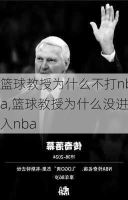 篮球教授为什么不打nba,篮球教授为什么没进入nba