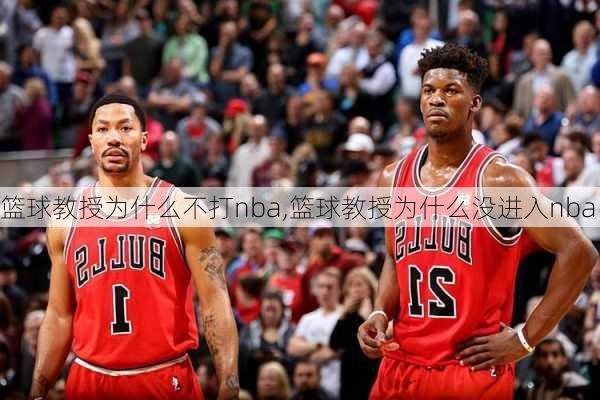 篮球教授为什么不打nba,篮球教授为什么没进入nba