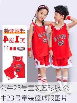 公牛23号童装篮球服,公牛23号童装篮球服图片