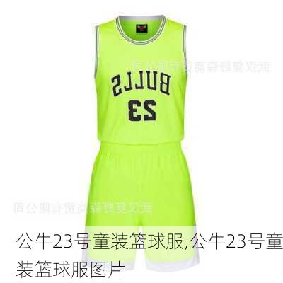 公牛23号童装篮球服,公牛23号童装篮球服图片