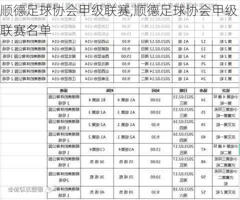 顺德足球协会甲级联赛,顺德足球协会甲级联赛名单