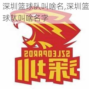 深圳篮球队叫啥名,深圳篮球队叫啥名字