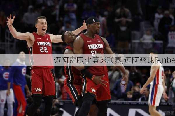 迈阿密职业篮球联赛,迈阿密球队nba