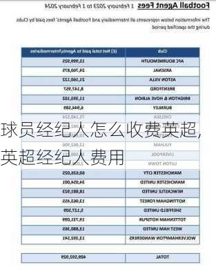 球员经纪人怎么收费英超,英超经纪人费用