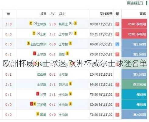 欧洲杯威尔士球迷,欧洲杯威尔士球迷名单