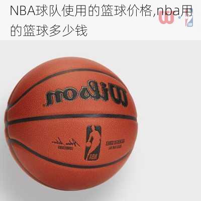 NBA球队使用的篮球价格,nba用的篮球多少钱