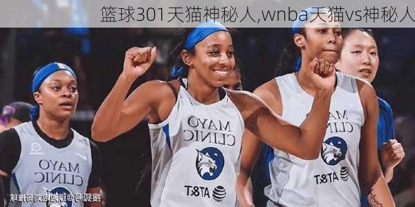 篮球301天猫神秘人,wnba天猫vs神秘人