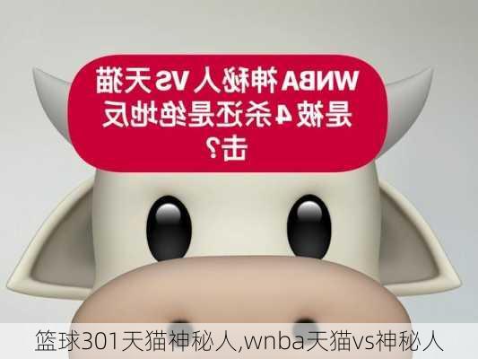 篮球301天猫神秘人,wnba天猫vs神秘人