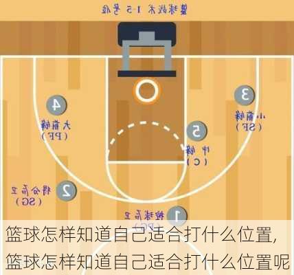 篮球怎样知道自己适合打什么位置,篮球怎样知道自己适合打什么位置呢