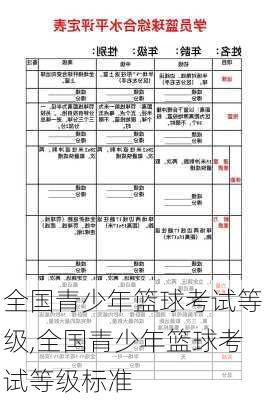 全国青少年篮球考试等级,全国青少年篮球考试等级标准