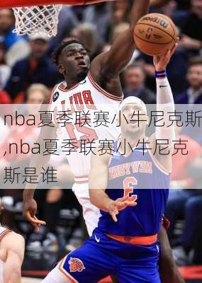 nba夏季联赛小牛尼克斯,nba夏季联赛小牛尼克斯是谁