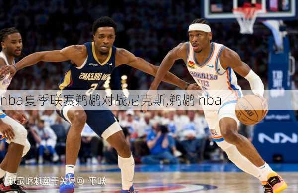 nba夏季联赛鹈鹕对战尼克斯,鹈鹕 nba