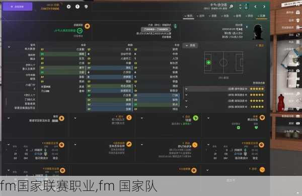 fm国家联赛职业,fm 国家队