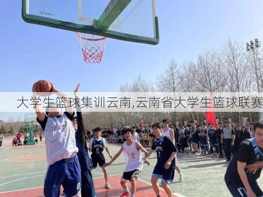 大学生篮球集训云南,云南省大学生篮球联赛