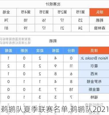 鹈鹕队夏季联赛名单,鹈鹕队2021