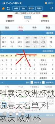 科索沃欧洲杯预选赛大名单,科索沃 欧洲杯