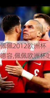 佩佩2012欧洲杯德容,佩佩欧洲杯吐