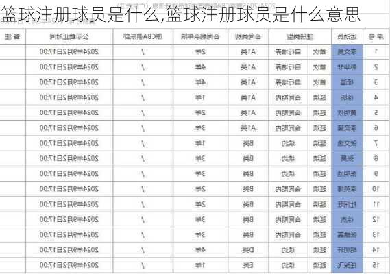 篮球注册球员是什么,篮球注册球员是什么意思