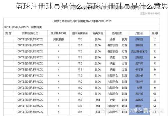 篮球注册球员是什么,篮球注册球员是什么意思