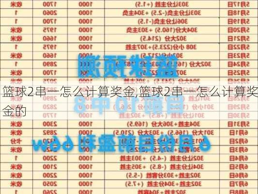 篮球2串一怎么计算奖金,篮球2串一怎么计算奖金的