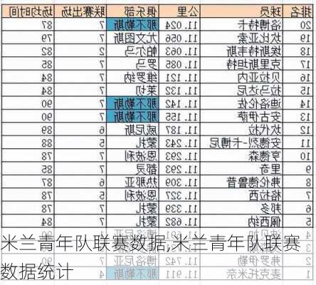 米兰青年队联赛数据,米兰青年队联赛数据统计