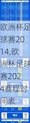 欧洲杯足球赛2014,欧洲杯足球赛2024赛程时间表