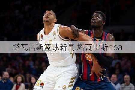 塔瓦雷斯篮球新闻,塔瓦雷斯nba