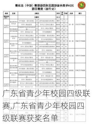 广东省青少年校园四级联赛,广东省青少年校园四级联赛获奖名单