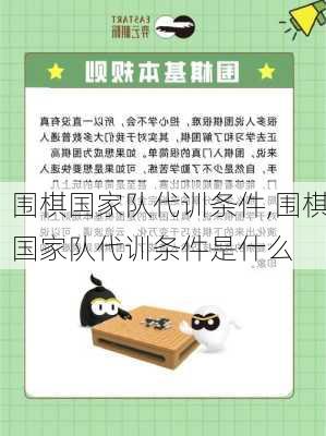 围棋国家队代训条件,围棋国家队代训条件是什么