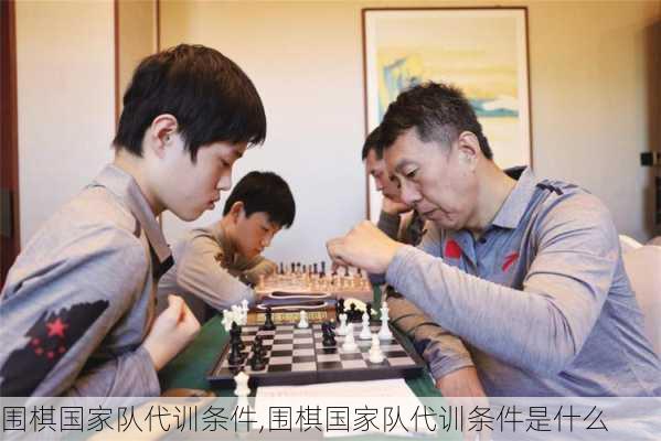 围棋国家队代训条件,围棋国家队代训条件是什么