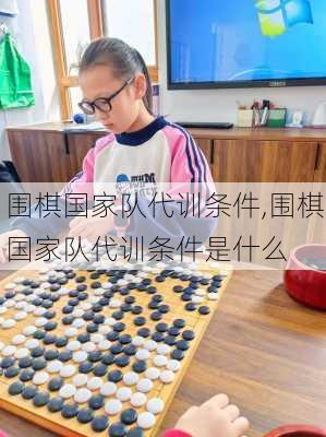 围棋国家队代训条件,围棋国家队代训条件是什么