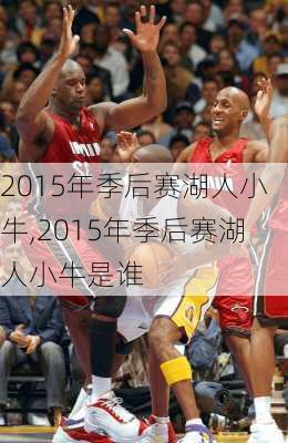 2015年季后赛湖人小牛,2015年季后赛湖人小牛是谁