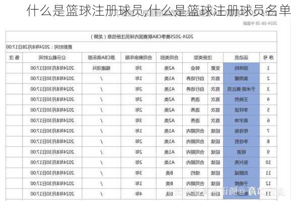 什么是篮球注册球员,什么是篮球注册球员名单