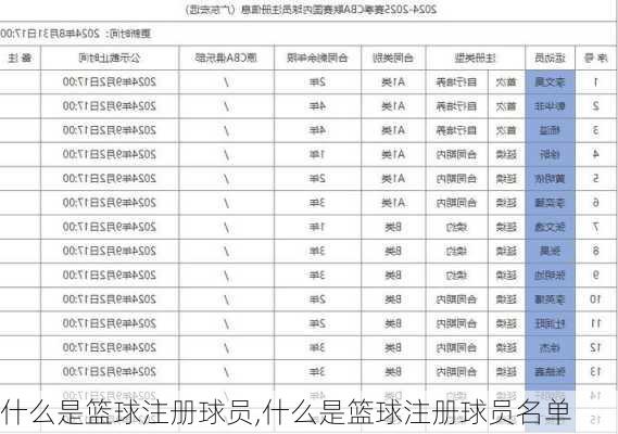 什么是篮球注册球员,什么是篮球注册球员名单