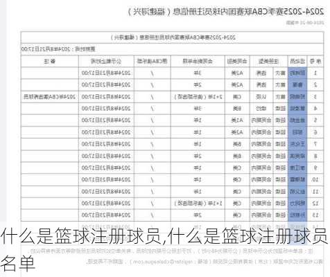 什么是篮球注册球员,什么是篮球注册球员名单