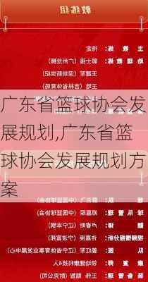 广东省篮球协会发展规划,广东省篮球协会发展规划方案