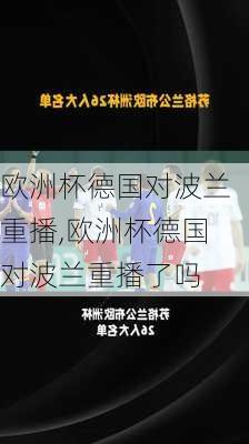 欧洲杯德国对波兰重播,欧洲杯德国对波兰重播了吗