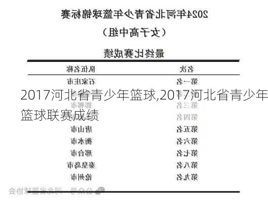 2017河北省青少年篮球,2017河北省青少年篮球联赛成绩