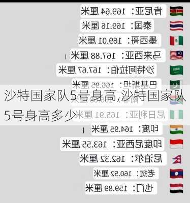 沙特国家队5号身高,沙特国家队5号身高多少